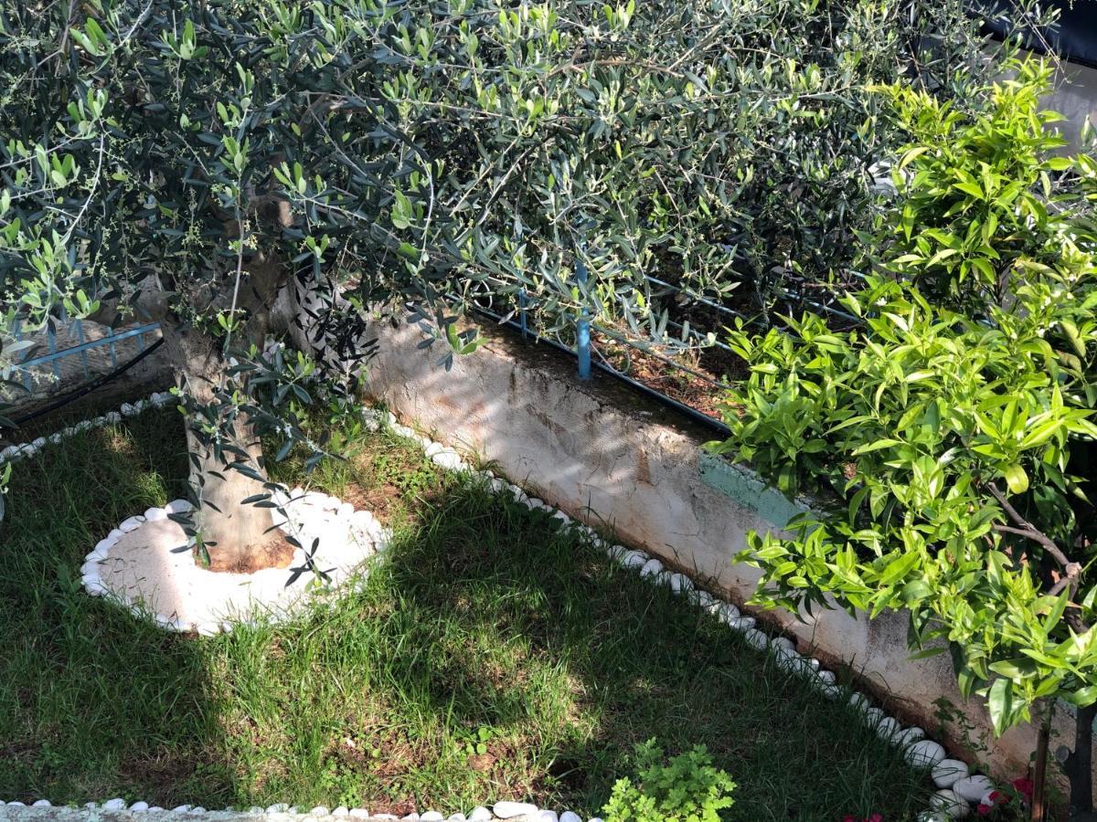 Villa Elvis Caca Ksamil Bagian luar foto